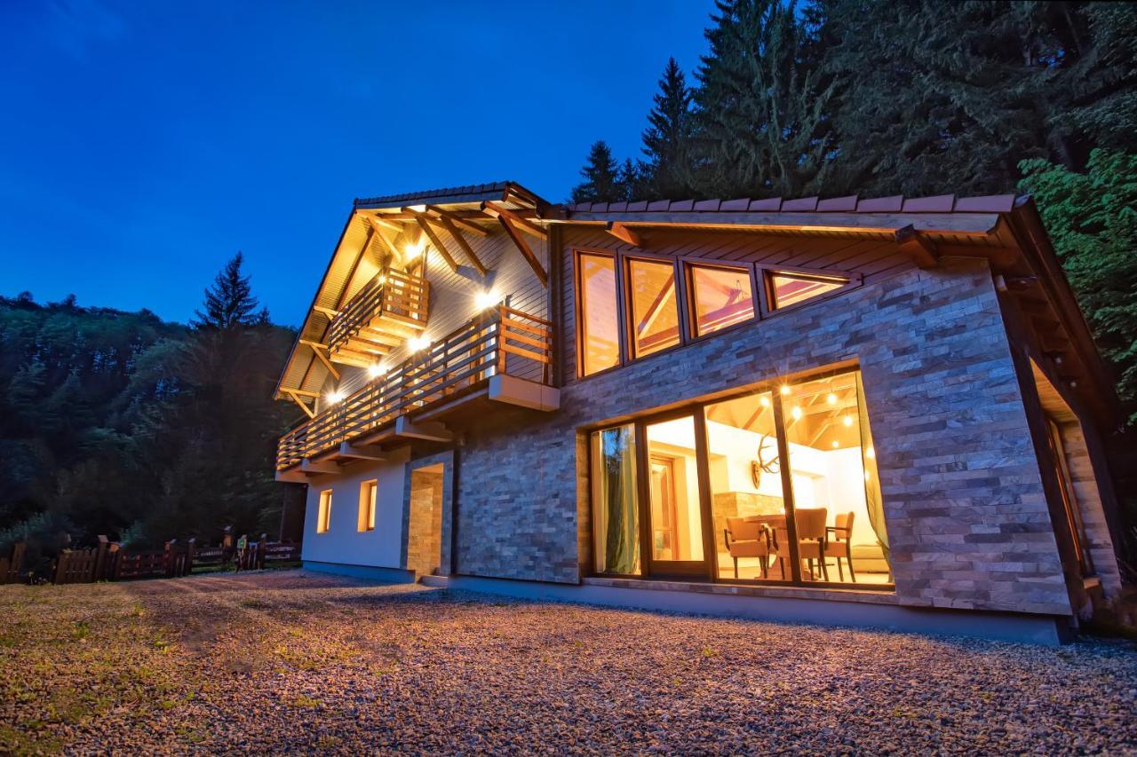 Chiba Chalet Timisu de Jos Exterior photo