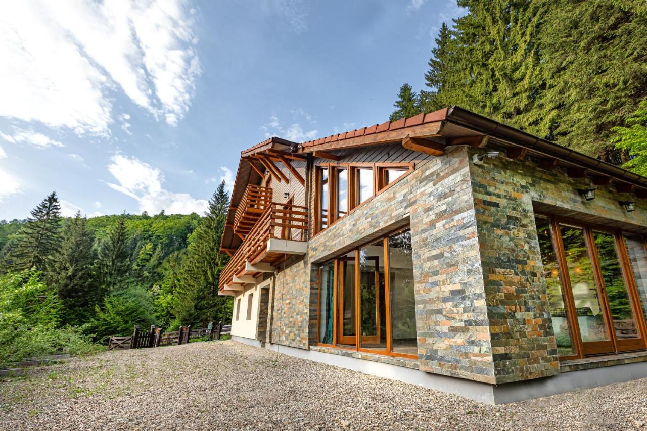 Chiba Chalet Timisu de Jos Exterior photo