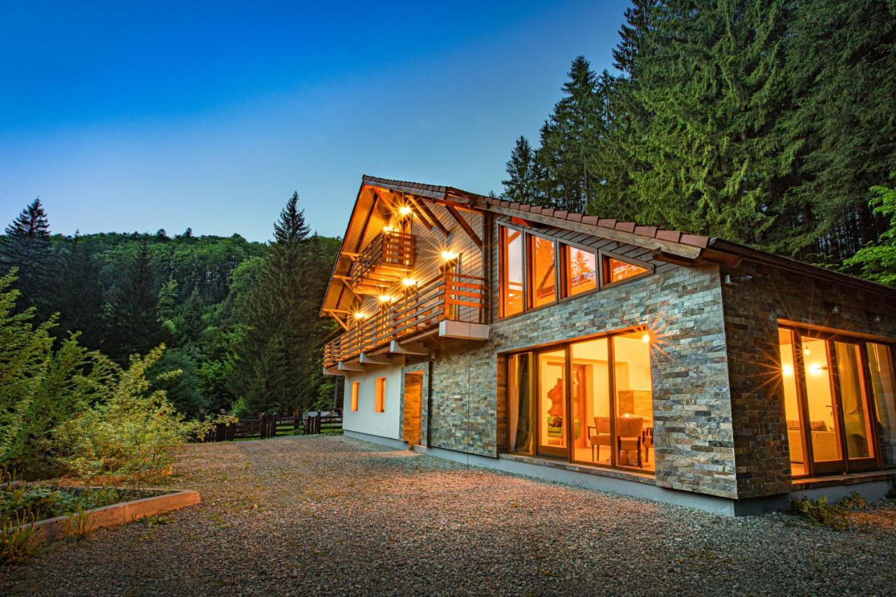 Chiba Chalet Timisu de Jos Exterior photo